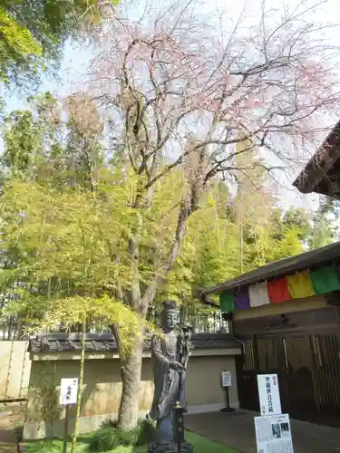 真光寺(千葉県)