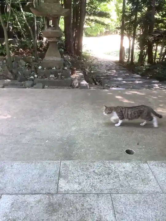 玉野御嶽神社の動物