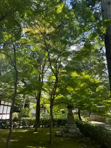 真正極楽寺（真如堂）の庭園