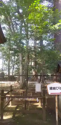 一言主神社(茨城県)