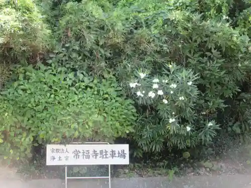 常福寺(神奈川県)