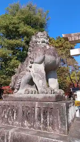 武田神社の狛犬