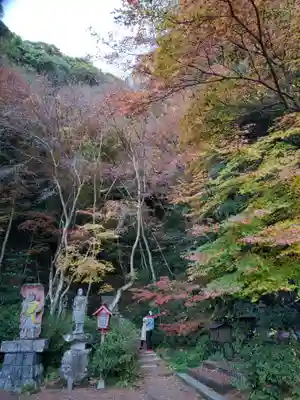 御橋観音寺の自然