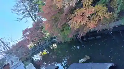稗田野神社(薭田野神社)(京都府)