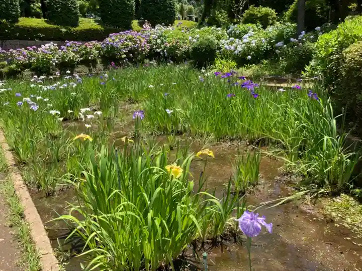 天台宗 長窪山 正覚寺の庭園
