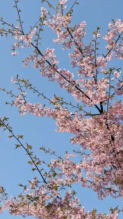 後白河院御聖蹟 法住寺(京都府)