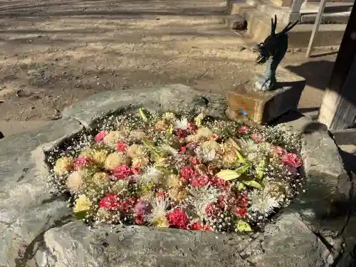 富士浅間神社の{uncategorized: "未分類", other: "その他", undefined: "問題あり", building: "その他建物", grave: "お墓", sacred_gate: "鳥居", guardian: "狛犬", statue: "像", buddha: "仏像", history: "歴史", nature: "自然", garden: "庭園", animal: "動物", pagoda: "塔", temizu: "手水舎", mountain_gate: "山門・神門", sanctuary: "本殿・本堂", subordinate: "末社・摂社", art: "芸術", scenery: "景色", jizo: "地蔵", ema: "絵馬", goshuin: "御朱印", omikuji: "おみくじ", items: "授与品その他", amulet: "お守り", goshuincho: "御朱印帳", eats: "食事", festival: "お祭り", votive_dance: "神楽", shichigosan: "七五三参", wedding: "結婚式", experience: "体験その他", initially: "初詣", around: "周辺", anti_infection: "感染症対策"}