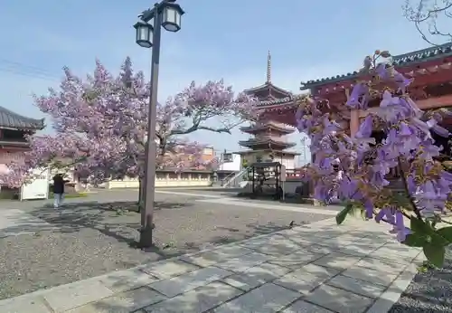 津観音のその他建物