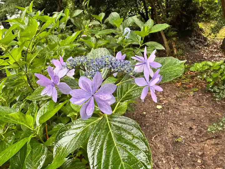 長慶寺(大阪府)