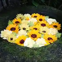 菅生神社の手水舎