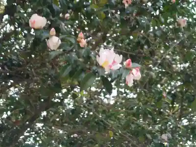 速谷神社(広島県)