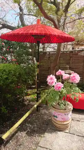 鶴岡八幡宮の{uncategorized: "未分類", other: "その他", undefined: "問題あり", building: "その他建物", grave: "お墓", sacred_gate: "鳥居", guardian: "狛犬", statue: "像", buddha: "仏像", history: "歴史", nature: "自然", garden: "庭園", animal: "動物", pagoda: "塔", temizu: "手水舎", mountain_gate: "山門・神門", sanctuary: "本殿・本堂", subordinate: "末社・摂社", art: "芸術", scenery: "景色", jizo: "地蔵", ema: "絵馬", goshuin: "御朱印", omikuji: "おみくじ", items: "授与品その他", amulet: "お守り", goshuincho: "御朱印帳", eats: "食事", festival: "お祭り", votive_dance: "神楽", shichigosan: "七五三参", wedding: "結婚式", experience: "体験その他", initially: "初詣", around: "周辺", anti_infection: "感染症対策"}