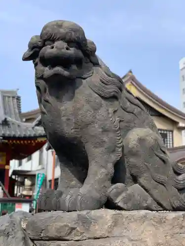 浅草神社の狛犬