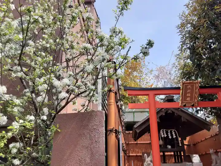 代沢稲荷の鳥居