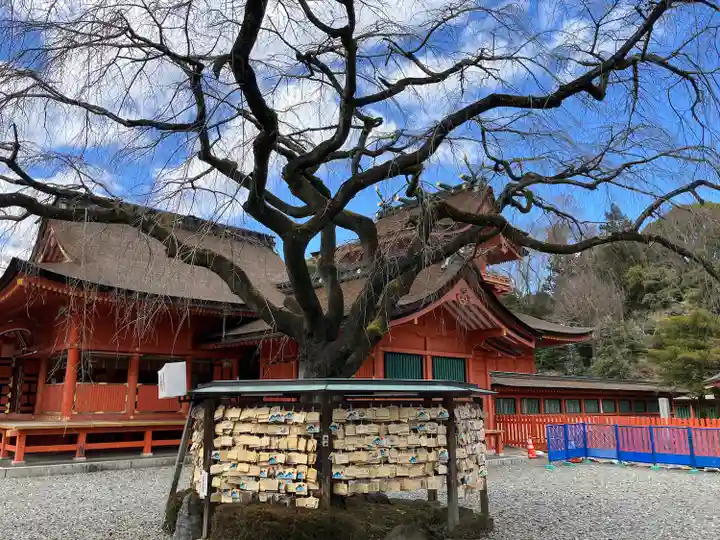富士山本宮浅間大社(静岡県)