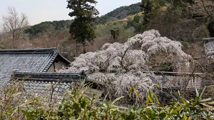 十輪寺(京都府)
