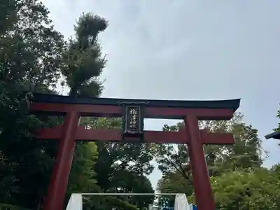 根津神社(東京都)
