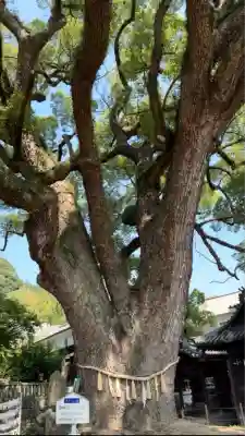 艮神社(広島県)