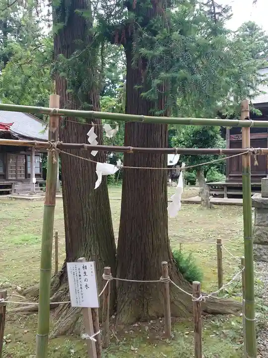 長沼八幡宮の自然
