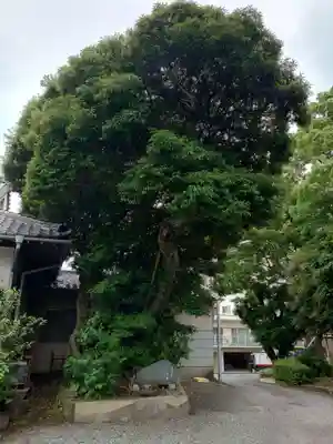 日枝神社(静岡県)