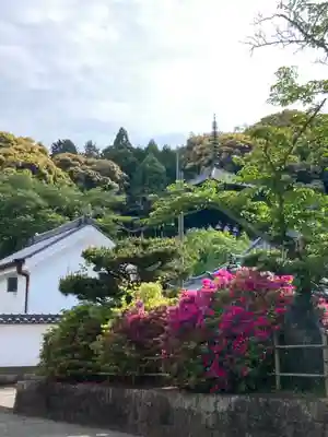 當麻寺(奈良県)