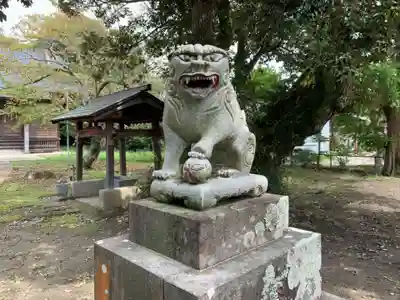 橘神社の狛犬