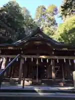 鳩ヶ嶺八幡宮の本殿・本堂