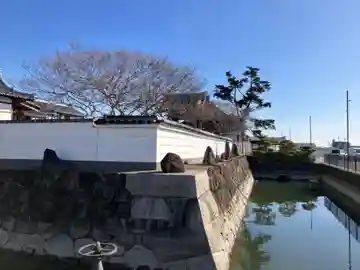 妙玄寺(兵庫県)