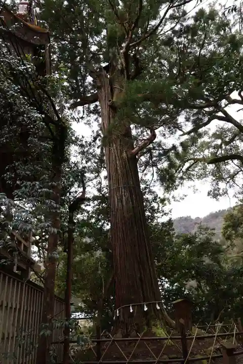 須佐神社(島根県)