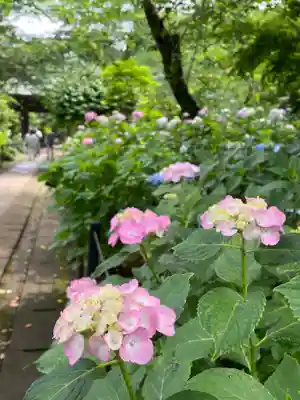 本土寺(千葉県)