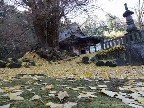 正法寺(埼玉県)