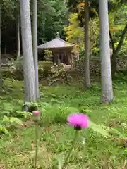 法楽寺(兵庫県)