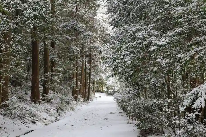 正伝護国禅寺(正伝寺・正傳寺)(京都府)