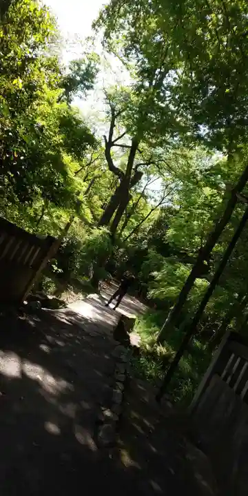 賀茂御祖神社(下鴨神社)(京都府)