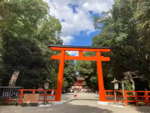 賀茂御祖神社（下鴨神社）(京都府)