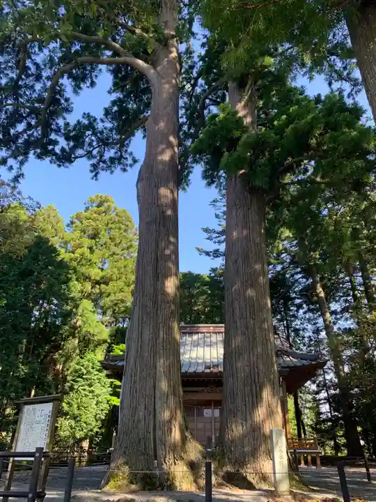 浅間神社の自然