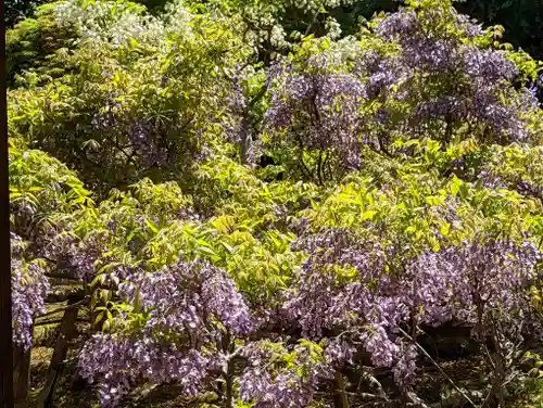長慶院(京都府)