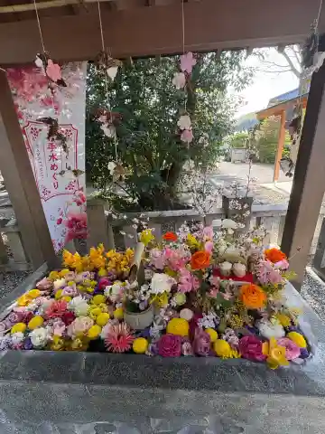 立江八幡神社の{uncategorized: "未分類", other: "その他", undefined: "問題あり", building: "その他建物", grave: "お墓", sacred_gate: "鳥居", guardian: "狛犬", statue: "像", buddha: "仏像", history: "歴史", nature: "自然", garden: "庭園", animal: "動物", pagoda: "塔", temizu: "手水舎", mountain_gate: "山門・神門", sanctuary: "本殿・本堂", subordinate: "末社・摂社", art: "芸術", scenery: "景色", jizo: "地蔵", ema: "絵馬", goshuin: "御朱印", omikuji: "おみくじ", items: "授与品その他", amulet: "お守り", goshuincho: "御朱印帳", eats: "食事", festival: "お祭り", votive_dance: "神楽", shichigosan: "七五三参", wedding: "結婚式", experience: "体験その他", initially: "初詣", around: "周辺", anti_infection: "感染症対策"}
