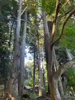 大宮温泉神社(栃木県)