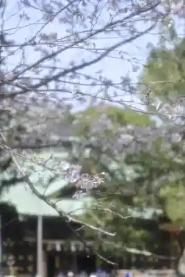 三嶋大社(静岡県)