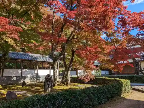 永源寺(滋賀県)
