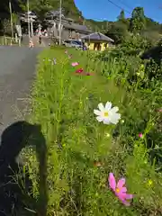 事任八幡宮(静岡県)