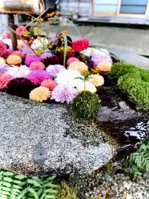 荘内神社の手水舎