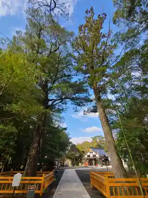 春日神社(長崎県)