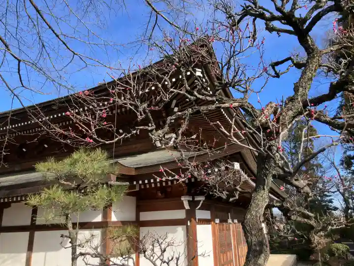 清水寺の{uncategorized: "未分類", other: "その他", undefined: "問題あり", building: "その他建物", grave: "お墓", sacred_gate: "鳥居", guardian: "狛犬", statue: "像", buddha: "仏像", history: "歴史", nature: "自然", garden: "庭園", animal: "動物", pagoda: "塔", temizu: "手水舎", mountain_gate: "山門・神門", sanctuary: "本殿・本堂", subordinate: "末社・摂社", art: "芸術", scenery: "景色", jizo: "地蔵", ema: "絵馬", goshuin: "御朱印", omikuji: "おみくじ", items: "授与品その他", amulet: "お守り", goshuincho: "御朱印帳", eats: "食事", festival: "お祭り", votive_dance: "神楽", shichigosan: "七五三参", wedding: "結婚式", experience: "体験その他", initially: "初詣", around: "周辺", anti_infection: "感染症対策"}
