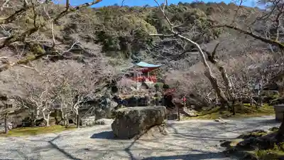 醍醐寺(京都府)