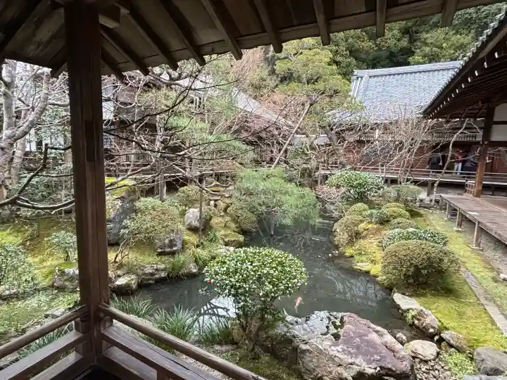 禅林寺(永観堂)の{uncategorized: "未分類", other: "その他", undefined: "問題あり", building: "その他建物", grave: "お墓", sacred_gate: "鳥居", guardian: "狛犬", statue: "像", buddha: "仏像", history: "歴史", nature: "自然", garden: "庭園", animal: "動物", pagoda: "塔", temizu: "手水舎", mountain_gate: "山門・神門", sanctuary: "本殿・本堂", subordinate: "末社・摂社", art: "芸術", scenery: "景色", jizo: "地蔵", ema: "絵馬", goshuin: "御朱印", omikuji: "おみくじ", items: "授与品その他", amulet: "お守り", goshuincho: "御朱印帳", eats: "食事", festival: "お祭り", votive_dance: "神楽", shichigosan: "七五三参", wedding: "結婚式", experience: "体験その他", initially: "初詣", around: "周辺", anti_infection: "感染症対策"}