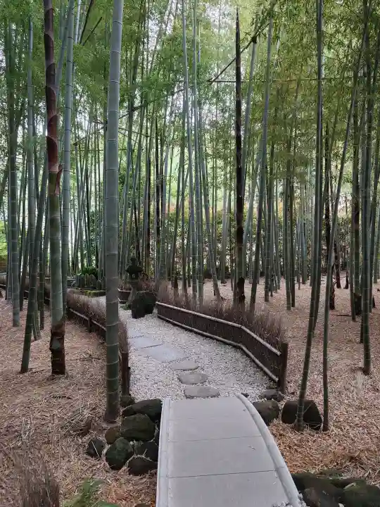 報国寺の{uncategorized: "未分類", other: "その他", undefined: "問題あり", building: "その他建物", grave: "お墓", sacred_gate: "鳥居", guardian: "狛犬", statue: "像", buddha: "仏像", history: "歴史", nature: "自然", garden: "庭園", animal: "動物", pagoda: "塔", temizu: "手水舎", mountain_gate: "山門・神門", sanctuary: "本殿・本堂", subordinate: "末社・摂社", art: "芸術", scenery: "景色", jizo: "地蔵", ema: "絵馬", goshuin: "御朱印", omikuji: "おみくじ", items: "授与品その他", amulet: "お守り", goshuincho: "御朱印帳", eats: "食事", festival: "お祭り", votive_dance: "神楽", shichigosan: "七五三参", wedding: "結婚式", experience: "体験その他", initially: "初詣", around: "周辺", anti_infection: "感染症対策"}