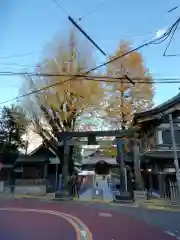 湯島天満宮の鳥居