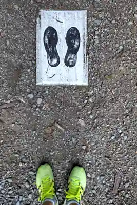 若狭姫神社（若狭彦神社下社）(福井県)